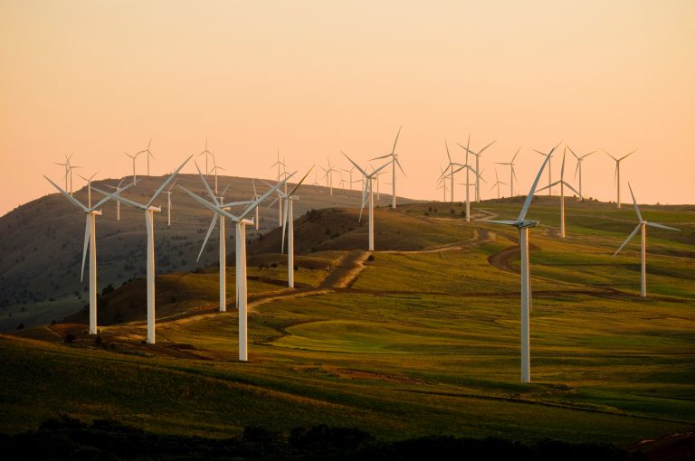Wind farm in california
